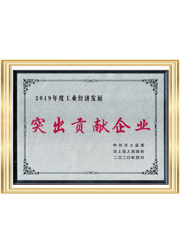 2019突出貢獻(xiàn)獎(jiǎng)